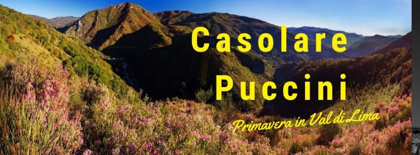 Casolare Puccini Appartement Bagni di Lucca Buitenkant foto